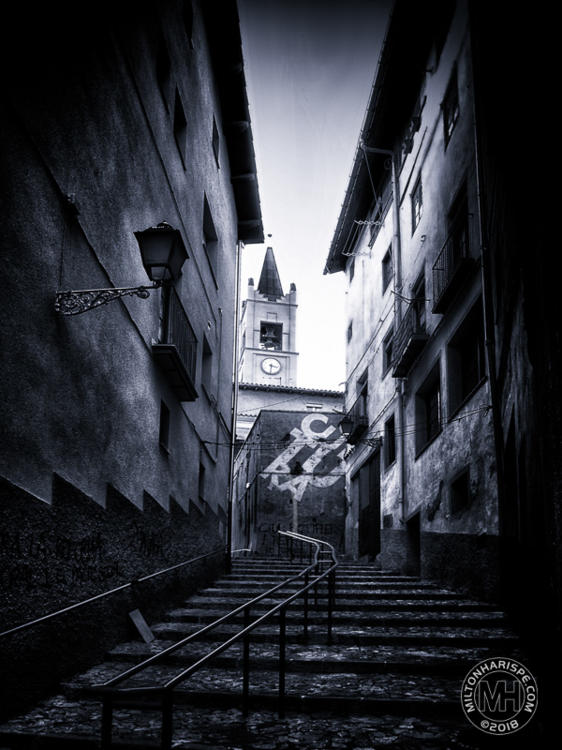 P1224077_ORF-Exp-Edit SEP2.jpg